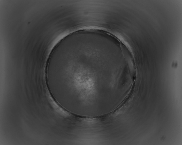 X0000091481189200708301908