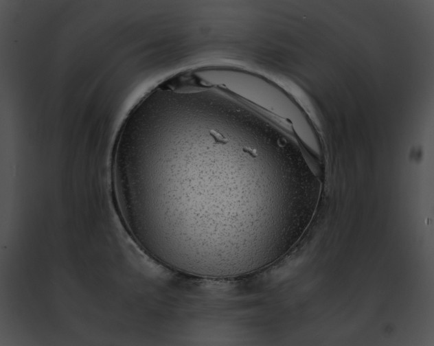 X0000091481191200708301908