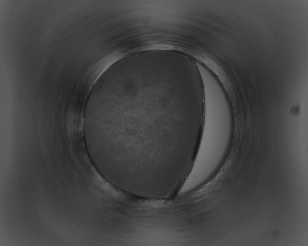 X0000091481193200708301908