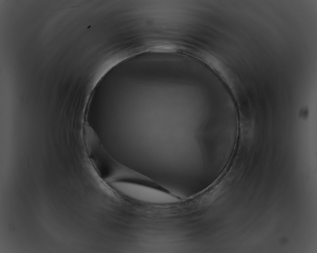 X0000091481194200708301908