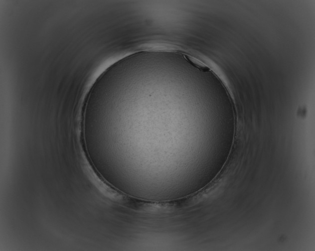 X0000091481195200708301907