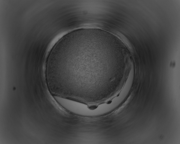 X0000091481196200708301907