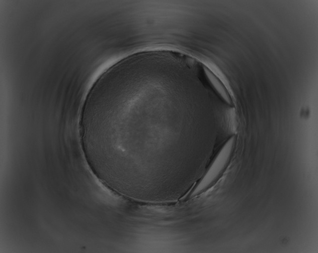 X0000091481197200708301907