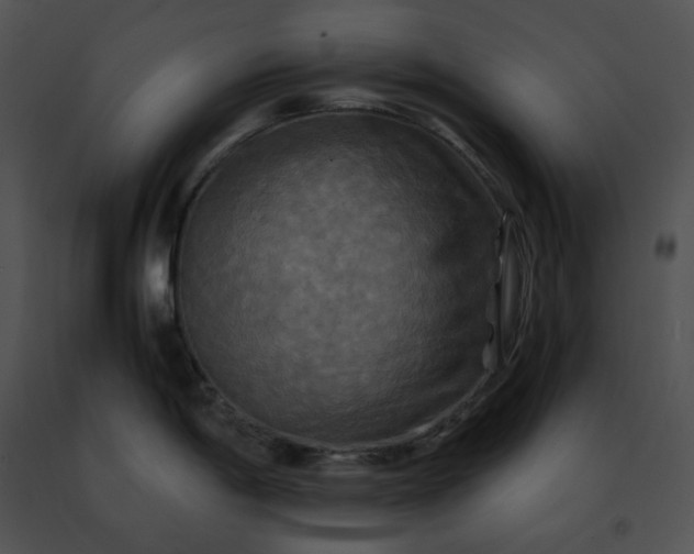 X0000091481198200708301907