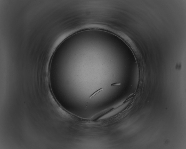 X0000091481199200708301907