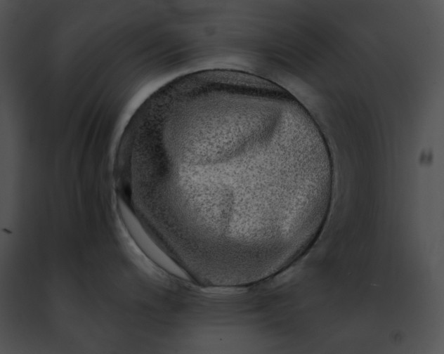 X0000091481200200708301907