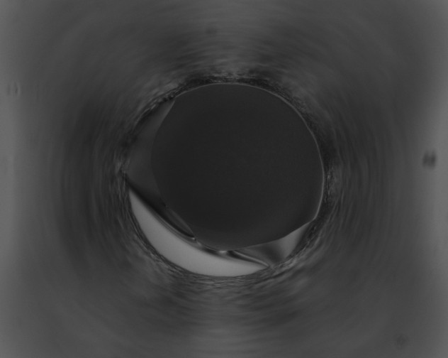 X0000091481202200708301907