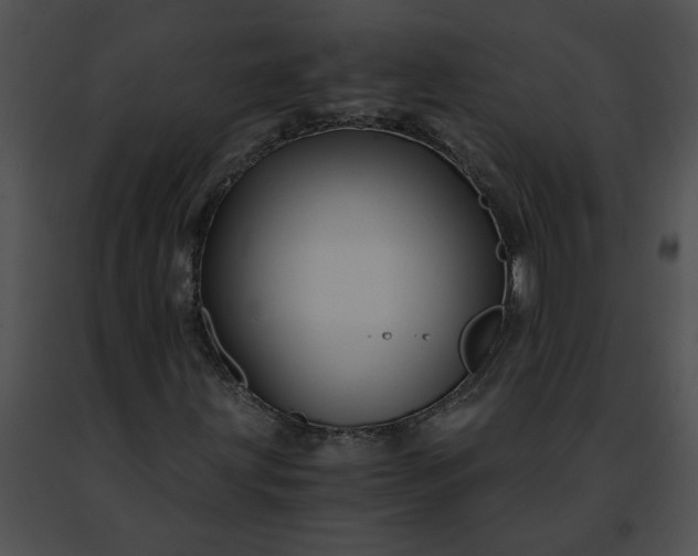 X0000091481203200708301907