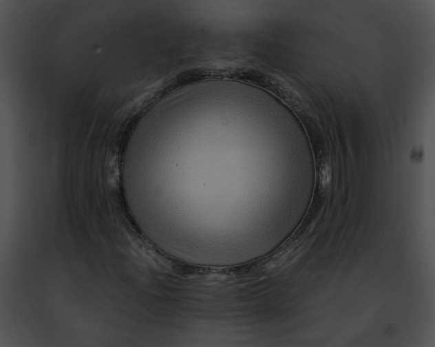 X0000091481204200708301907