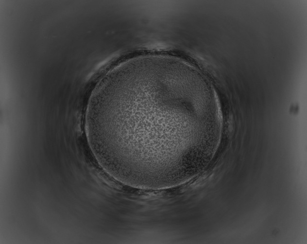 X0000091481205200708301907