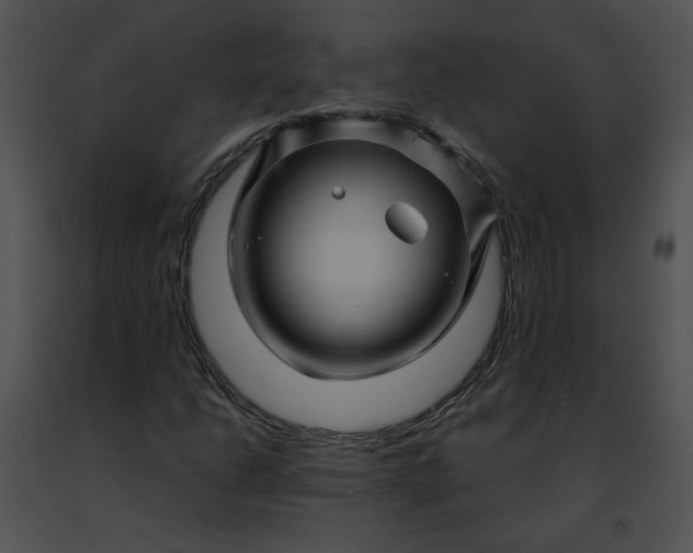 X0000091481206200708301907