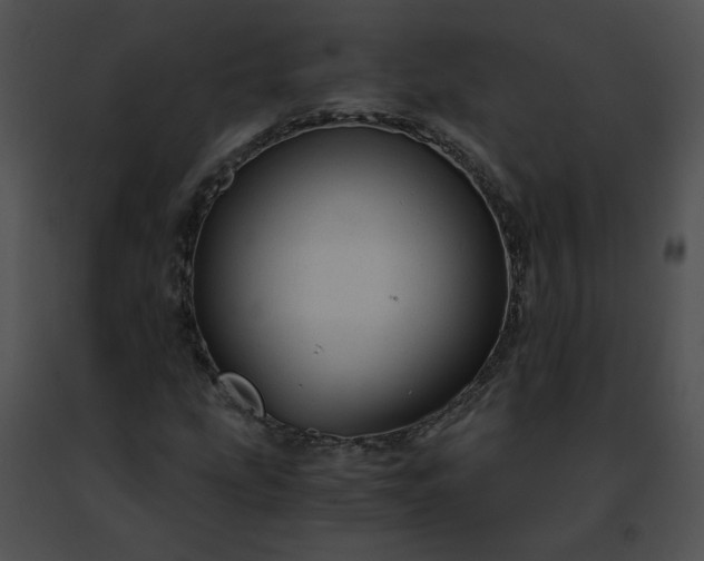 X0000091481207200708301907