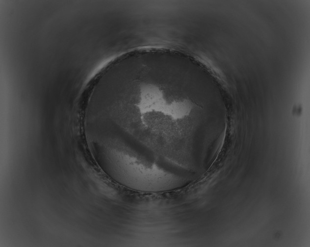 X0000091481208200708301907