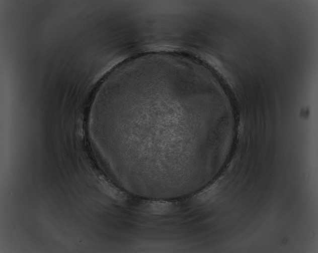 X0000091481209200708301907