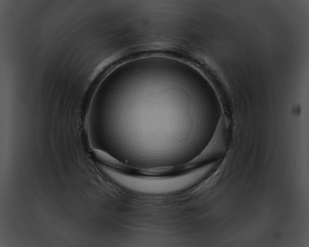 X0000091481210200708301907