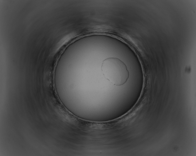 X0000091481211200708301907