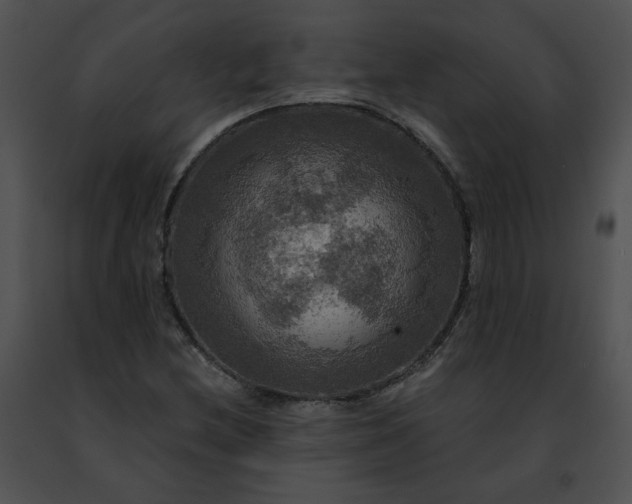 X0000091481212200708301907