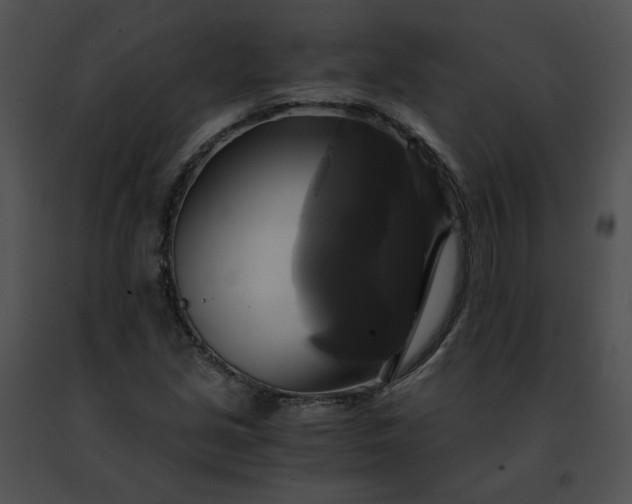 X0000091481213200708301907