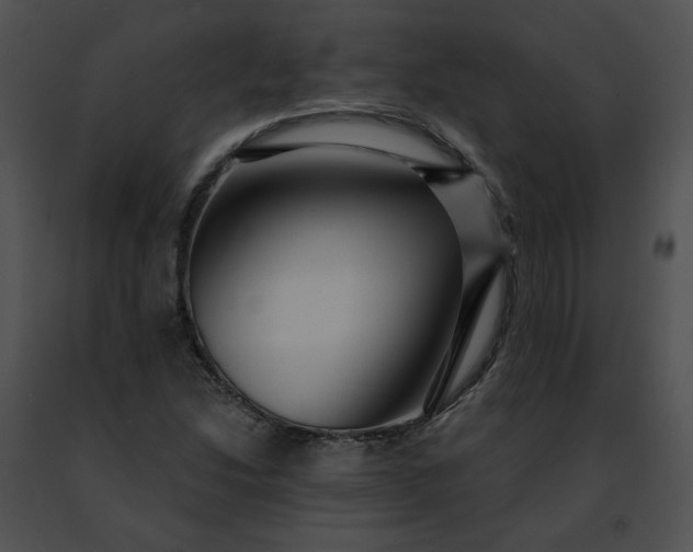 X0000091481214200708301907