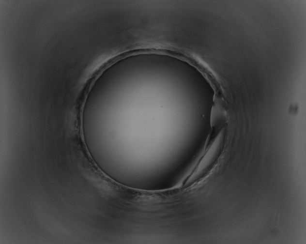 X0000091481215200708301907