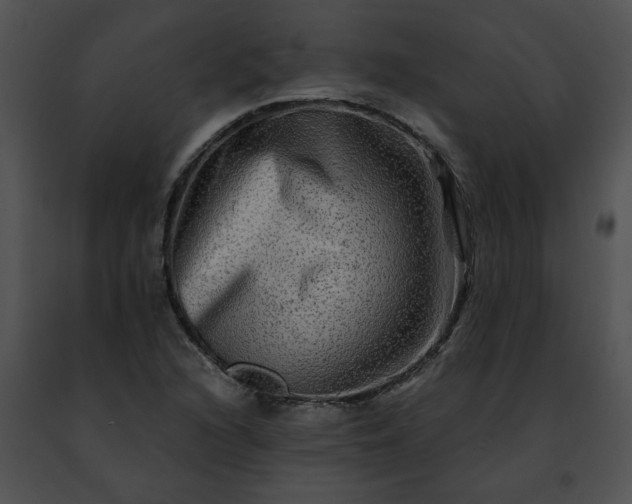 X0000091481216200708301907