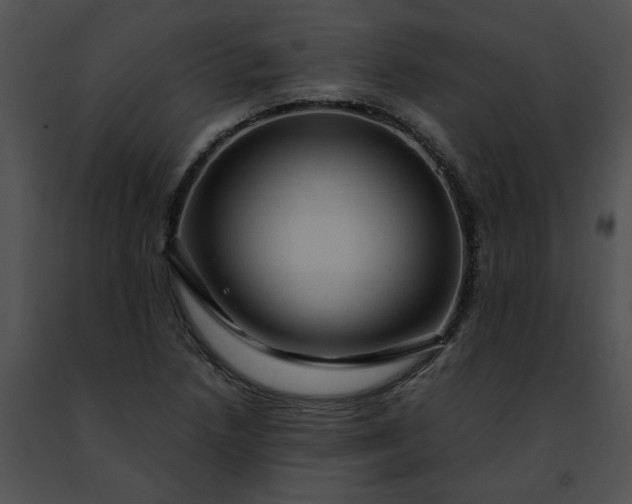 X0000091481218200708301907