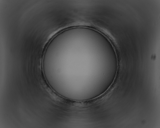 X0000091481220200708301907