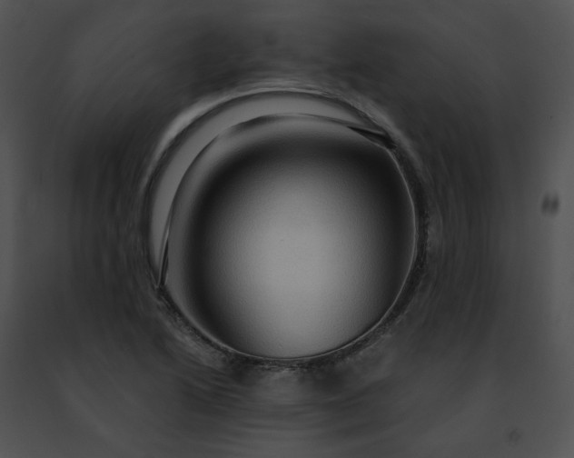 X0000091481222200708301907