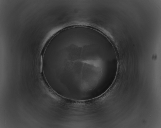 X0000091481223200708301907