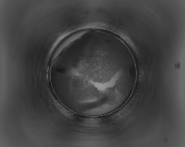 X0000091481224200708301907