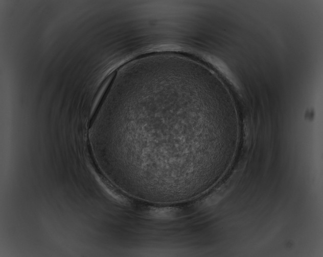 X0000091481225200708301907