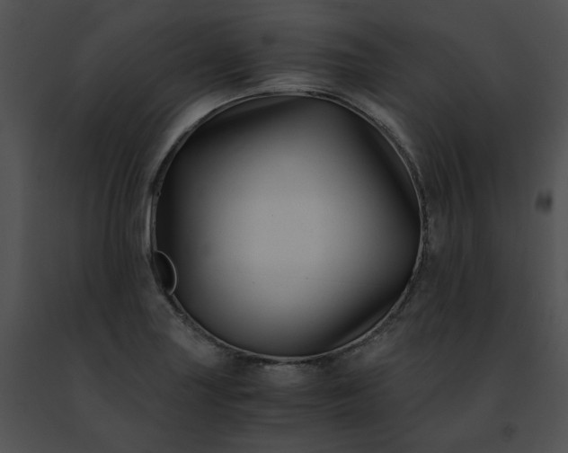 X0000091481227200708301907