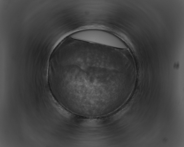 X0000091481228200708301907