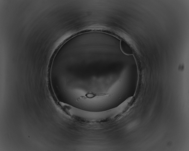 X0000091481229200708301907