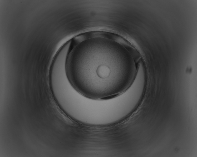 X0000091481230200708301907