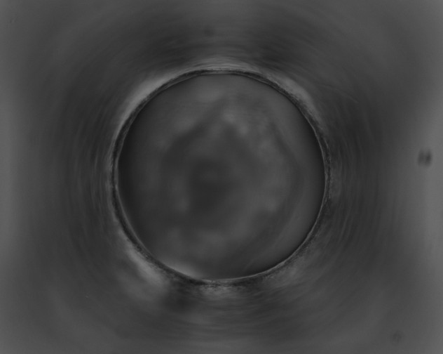 X0000091481231200708301907