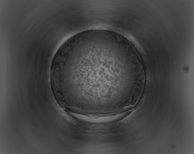 X0000091481232200708301907