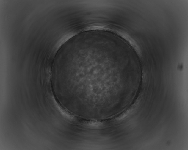 X0000091481233200708301907