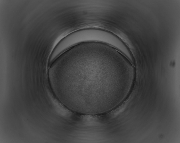 X0000091481234200708301907