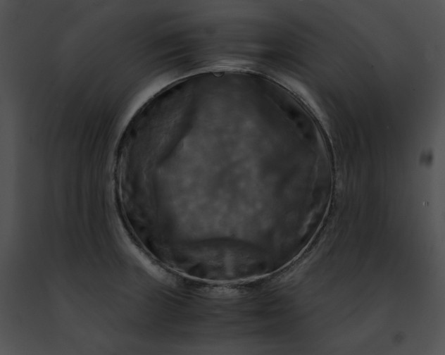 X0000091481235200708301907