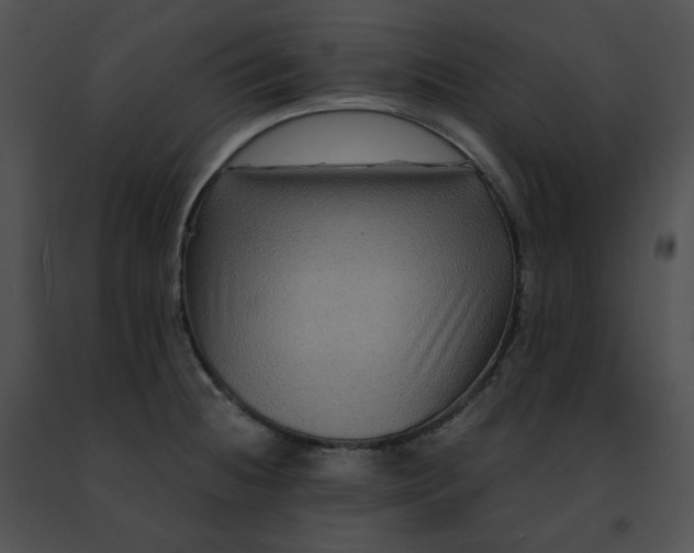 X0000091481236200708301907