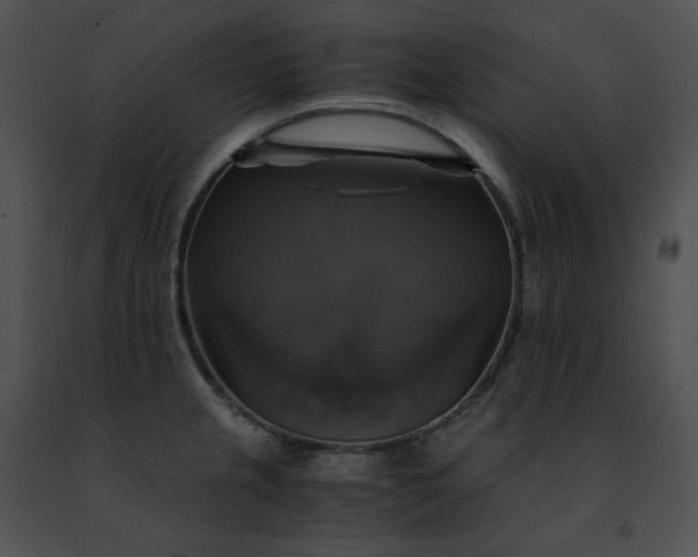 X0000091481237200708301907