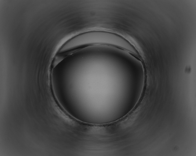 X0000091481238200708301907