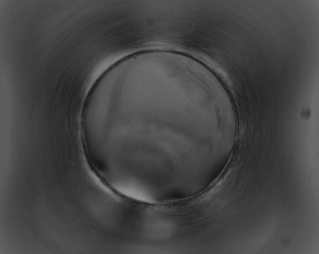 X0000091481239200708301907