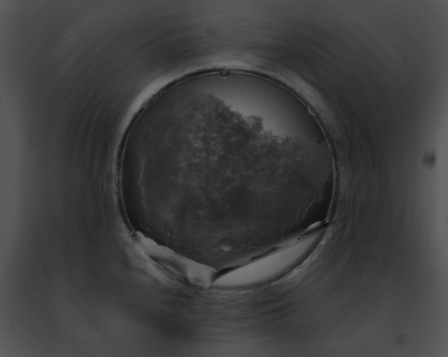 X0000091481240200708301907