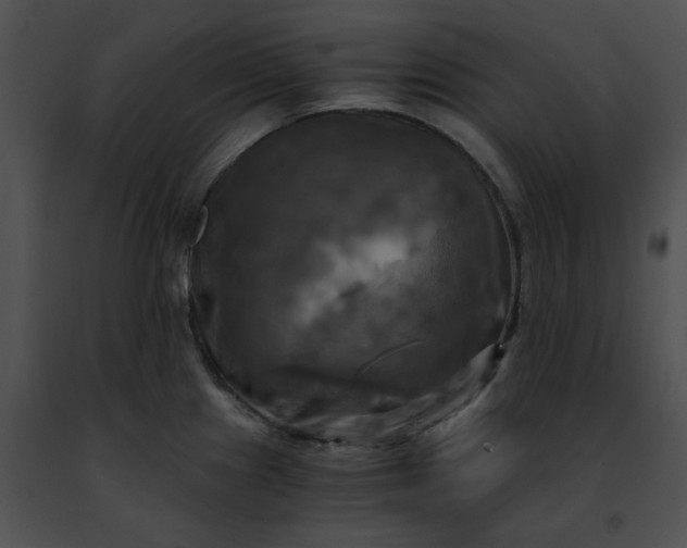 X0000091481241200708301907