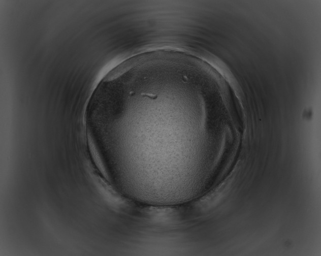 X0000091481242200708301907