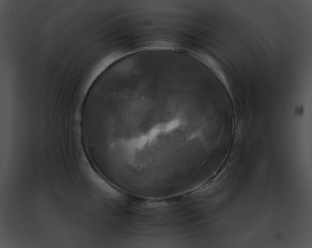 X0000091481243200708301907