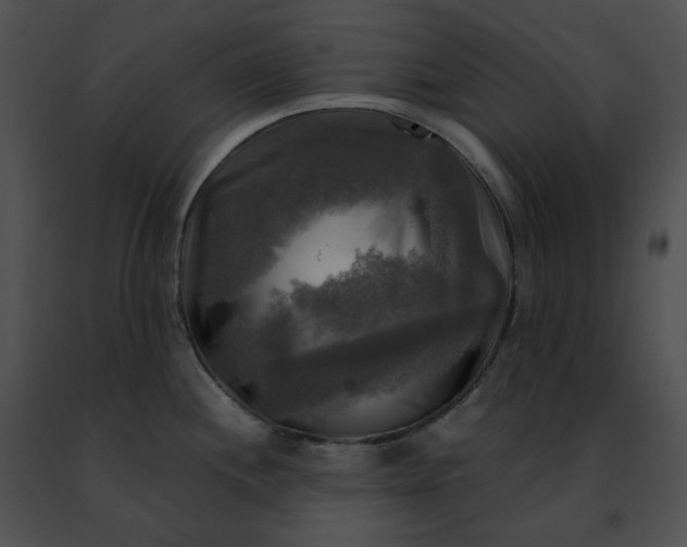 X0000091481244200708301907