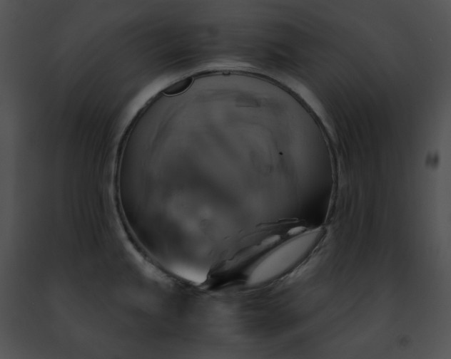 X0000091481245200708301907